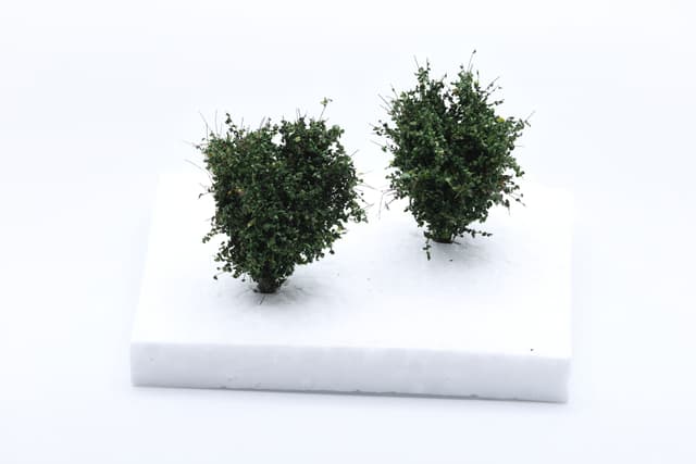 Set of 2 medium-sized bushes of dark green color, scale 1:87 / H0