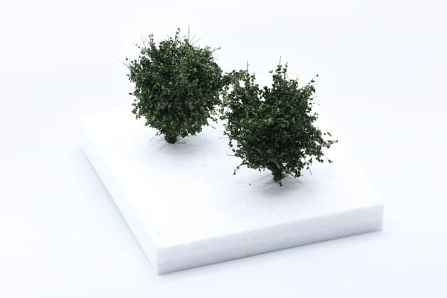 Set of 2 medium-sized bushes of dark green color, scale 1:87 / H0